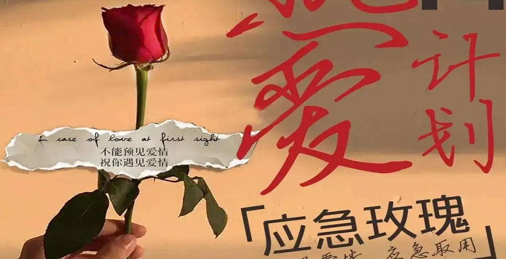 深圳商場-地產(chǎn)-情人節(jié)活動(dòng)策劃方案圖2