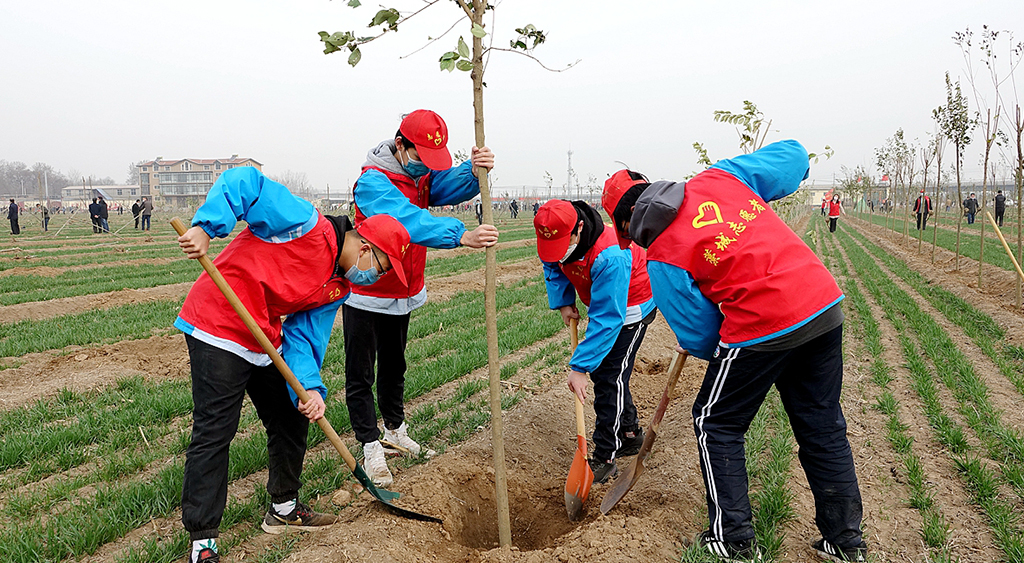 深圳植樹節(jié)活動策劃方案 圖3
