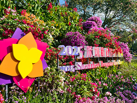 蓮花山花展如何“撐起”那一片藝術天空？