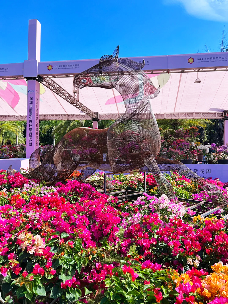 蓮花山花展如何“撐起”那一片藝術天空?