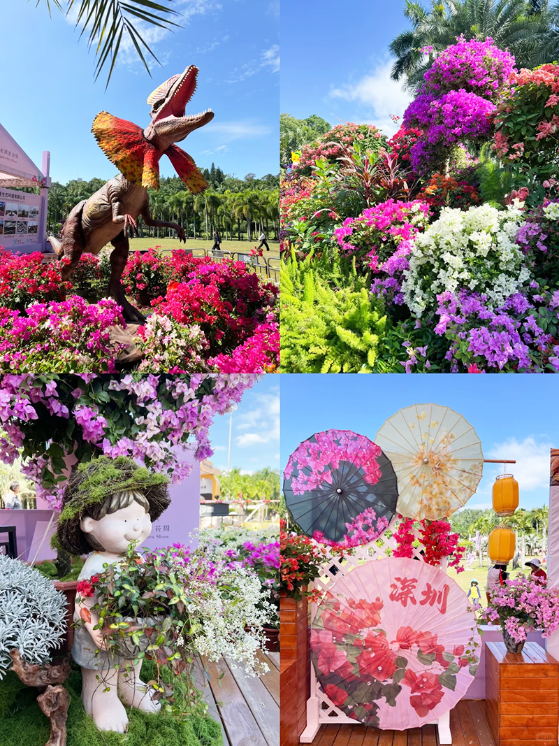 蓮花山花展如何“撐起”那一片藝術天空?