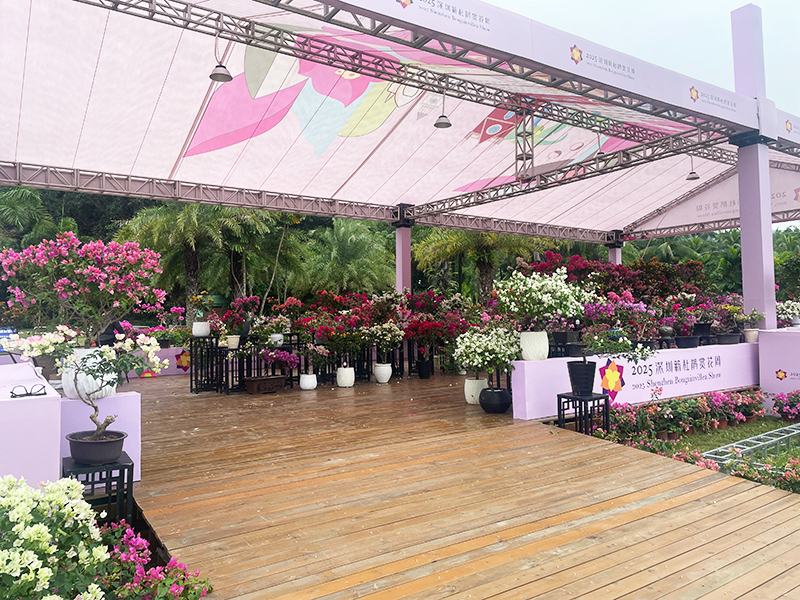 蓮花山花展如何“撐起”那一片藝術天空?